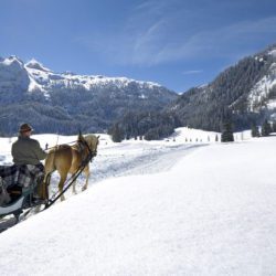 Pferdeschlittefahrten in Obertauern, Skiurlaub